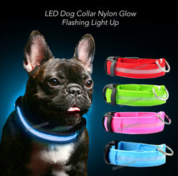 USB Rechargeable LED Dog Collar Nylon Glow Flashing Light Up Safety Pet Collars