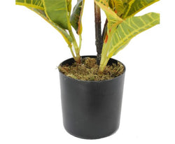Artificial Potted Flaming Zebra (Codiaeum variegatum / crotons) 55cm